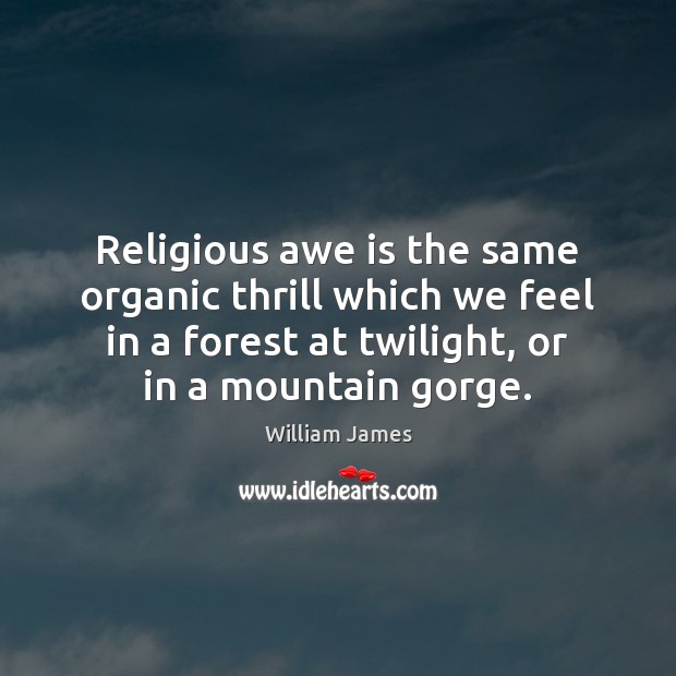 Religious awe is the same organic thrill which we feel in a William James Picture Quote