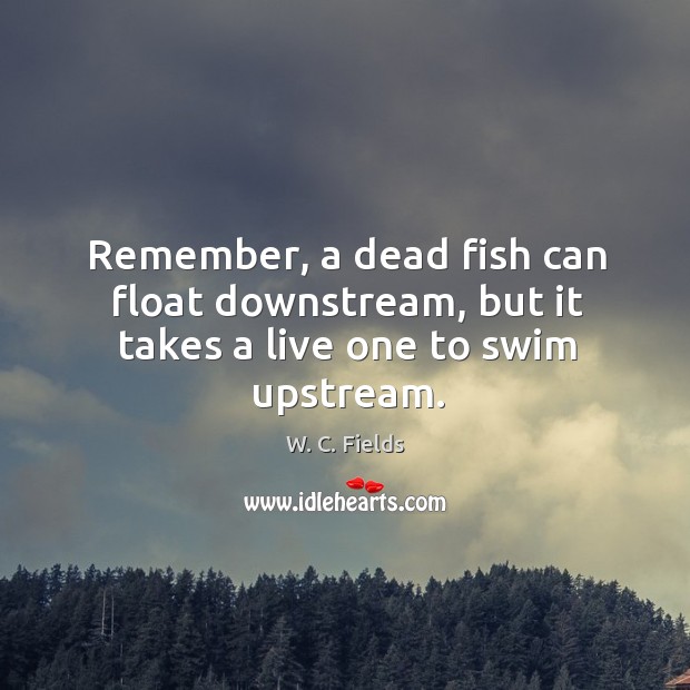 Remember, a dead fish can float downstream, but it takes a live one to swim upstream. W. C. Fields Picture Quote