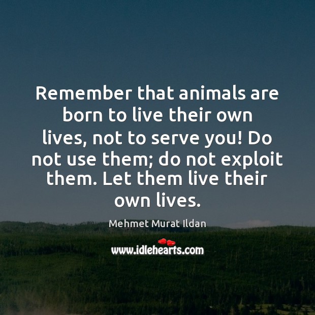 Remember that animals are born to live their own lives, not to Mehmet Murat Ildan Picture Quote