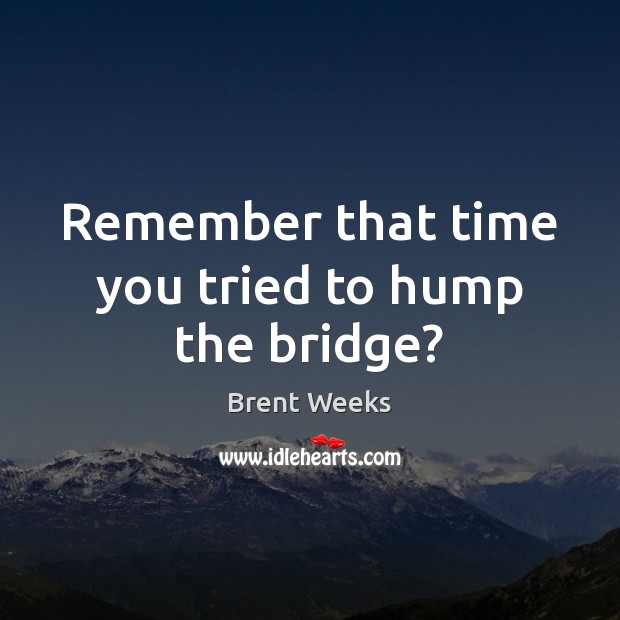 Remember that time you tried to hump the bridge? Image
