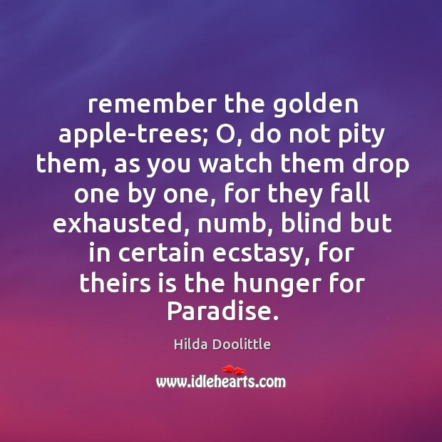 Remember the golden apple-trees; O, do not pity them, as you watch Image