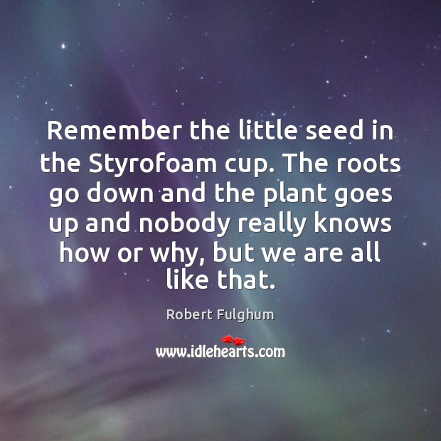 Remember the little seed in the Styrofoam cup. The roots go down Robert Fulghum Picture Quote