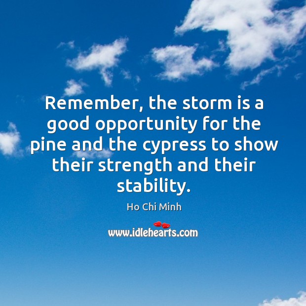 Remember, the storm is a good opportunity for the pine and the cypress to show their strength and their stability. Image