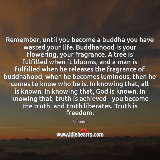 Remember, until you become a buddha you have wasted your life. Buddhahood Image