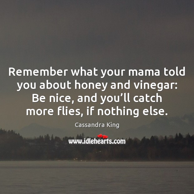 Remember what your mama told you about honey and vinegar: Be nice, Be Nice Quotes Image