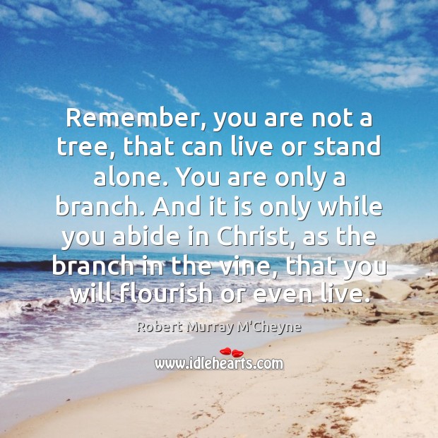 Remember, you are not a tree, that can live or stand alone. Robert Murray M’Cheyne Picture Quote