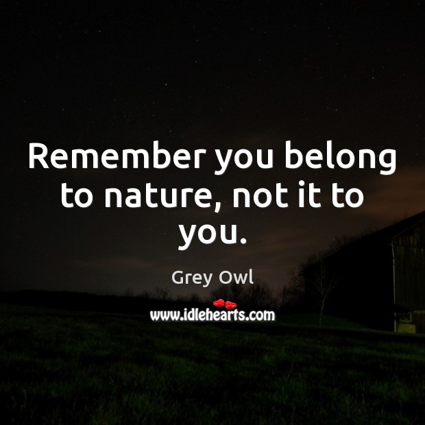 Remember you belong to nature, not it to you. Grey Owl Picture Quote