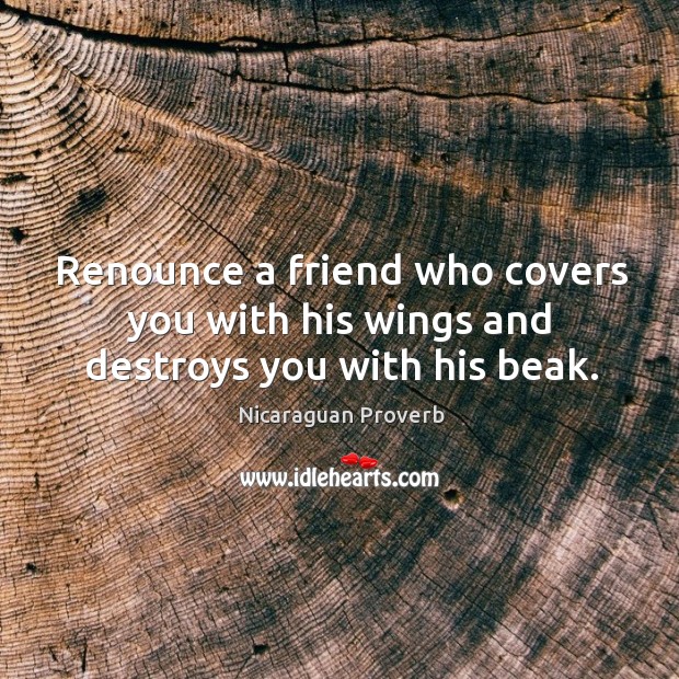 Renounce a friend who covers you with his wings and destroys you with his beak. Nicaraguan Proverbs Image