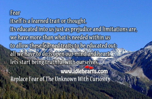 Replace fear of the unknown with curiosity Image