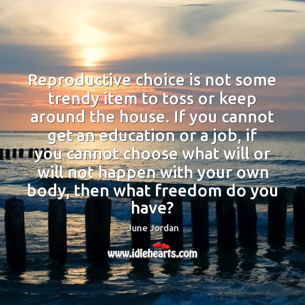 Reproductive choice is not some trendy item to toss or keep around June Jordan Picture Quote