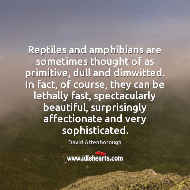 Reptiles and amphibians are sometimes thought of as primitive, dull and dimwitted. David Attenborough Picture Quote