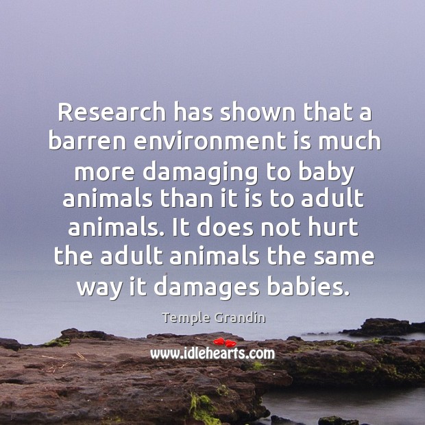 Research has shown that a barren environment is much more damaging to baby animals than Temple Grandin Picture Quote