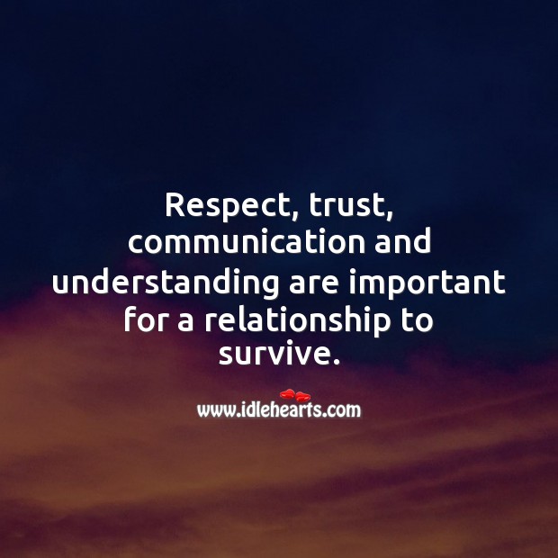 Respect, trust, communication and understanding are important for a relationship to survive. Image
