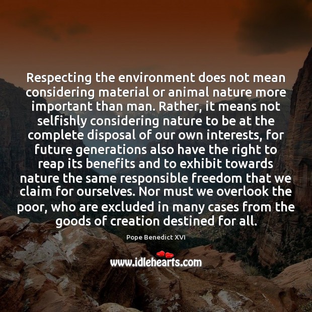 Respecting the environment does not mean considering material or animal nature more Image