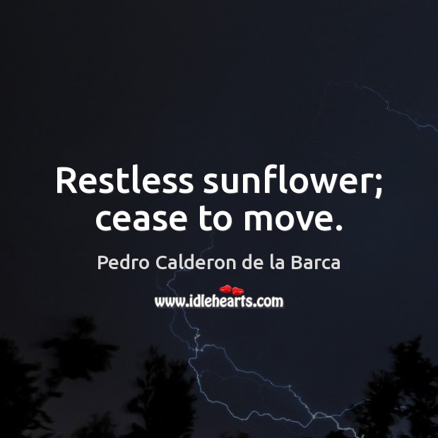 Restless sunflower; cease to move. Pedro Calderon de la Barca Picture Quote