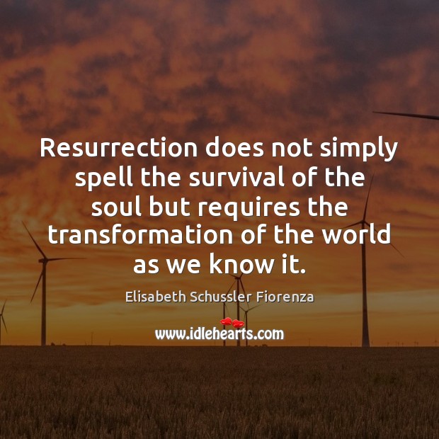 Resurrection does not simply spell the survival of the soul but requires Elisabeth Schussler Fiorenza Picture Quote