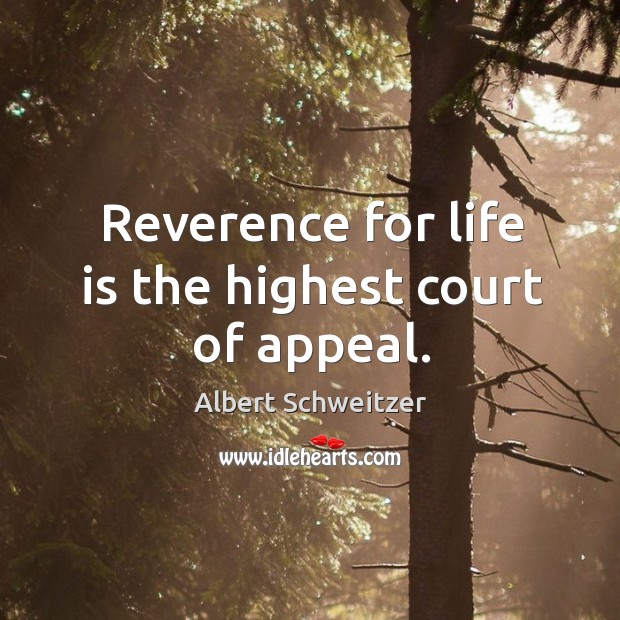 Reverence for life is the highest court of appeal. Albert Schweitzer Picture Quote