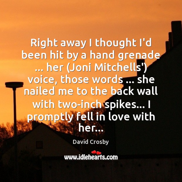 Right away I thought I’d been hit by a hand grenade … her ( David Crosby Picture Quote