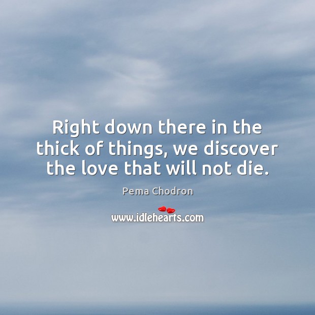 Right down there in the thick of things, we discover the love that will not die. Pema Chodron Picture Quote