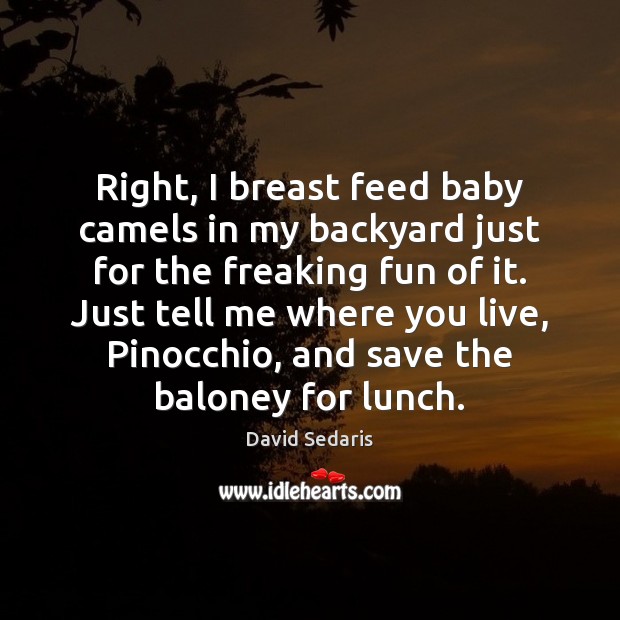 Right, I breast feed baby camels in my backyard just for the David Sedaris Picture Quote