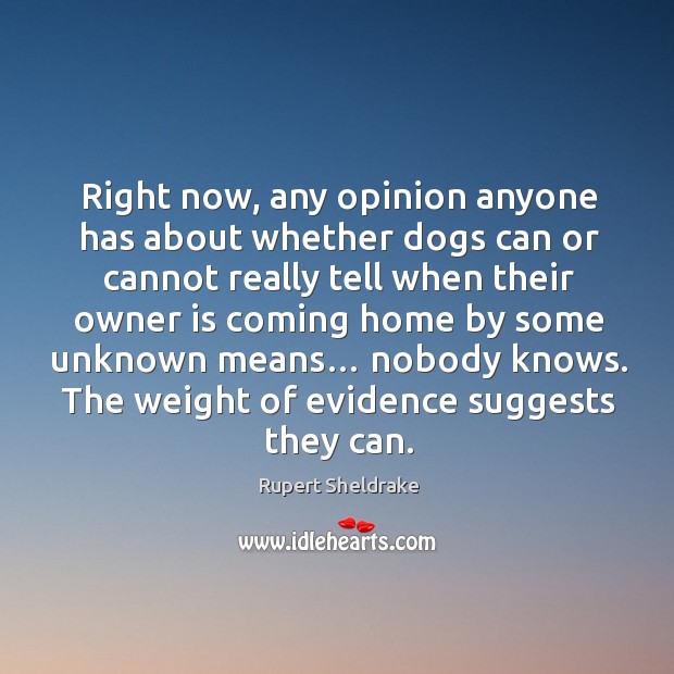 Right now, any opinion anyone has about whether dogs can or cannot really tell when Rupert Sheldrake Picture Quote