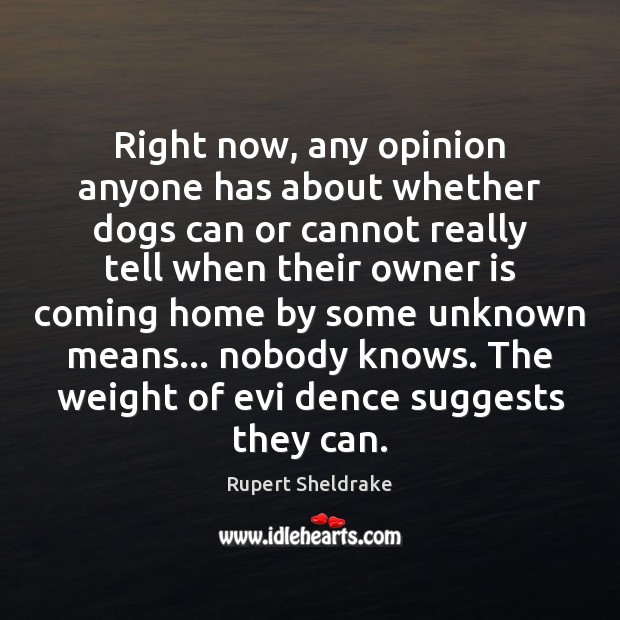 Right now, any opinion anyone has about whether dogs can or cannot Rupert Sheldrake Picture Quote
