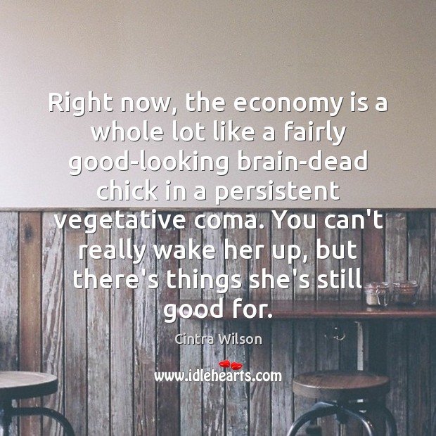 Right now, the economy is a whole lot like a fairly good-looking Cintra Wilson Picture Quote