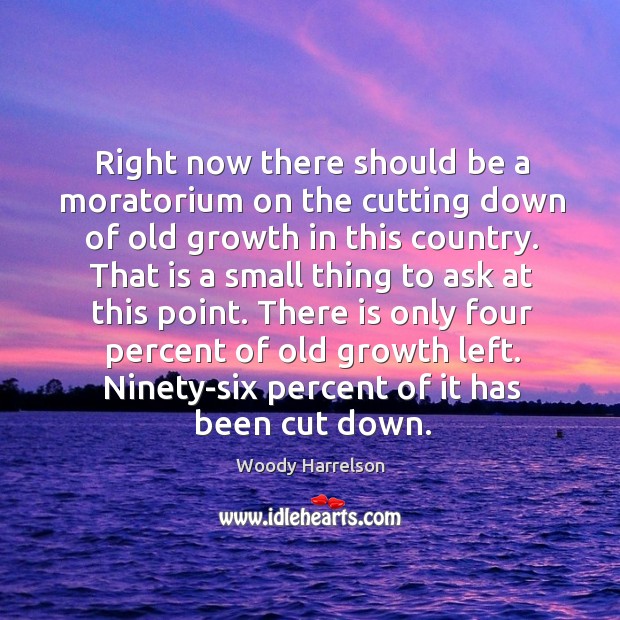 Right now there should be a moratorium on the cutting down of old growth in this country. Image