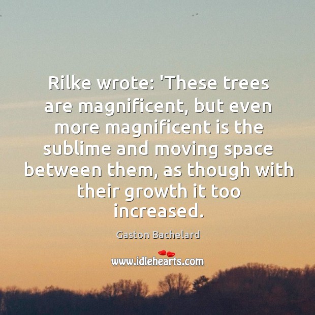 Rilke wrote: ‘These trees are magnificent, but even more magnificent is the Gaston Bachelard Picture Quote