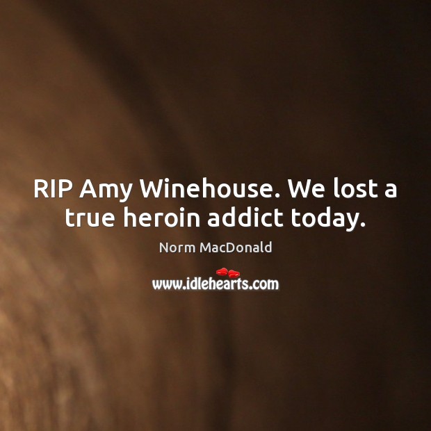 RIP Amy Winehouse. We lost a true heroin addict today. Norm MacDonald Picture Quote