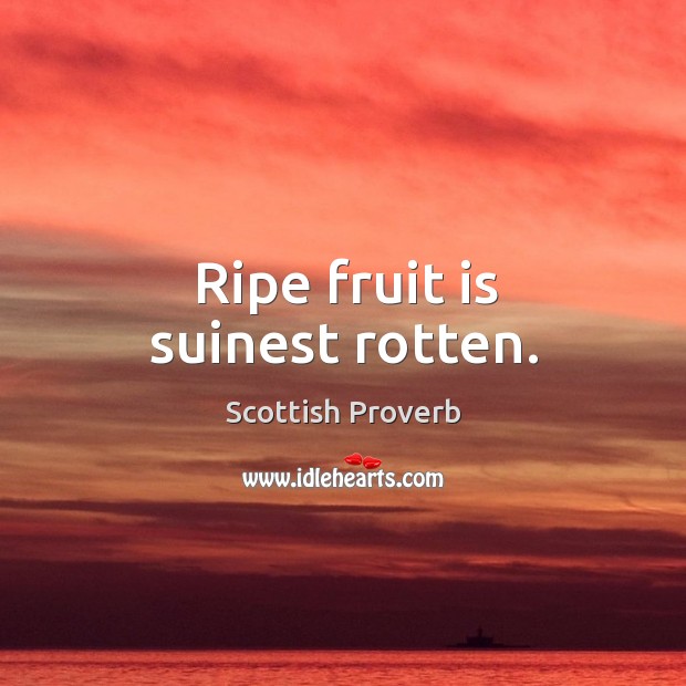 Ripe fruit is suinest rotten. Scottish Proverbs Image