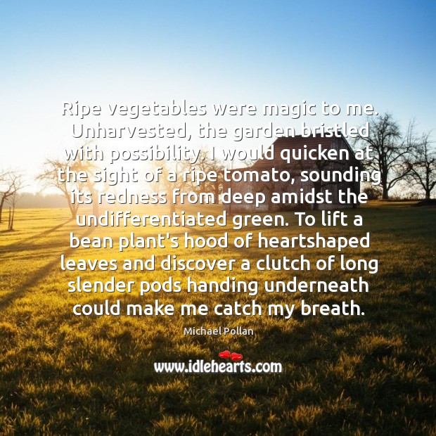 Ripe vegetables were magic to me. Unharvested, the garden bristled with possibility. Image