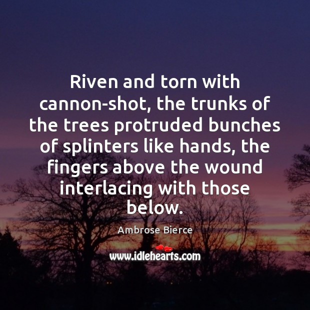 Riven and torn with cannon-shot, the trunks of the trees protruded bunches Image