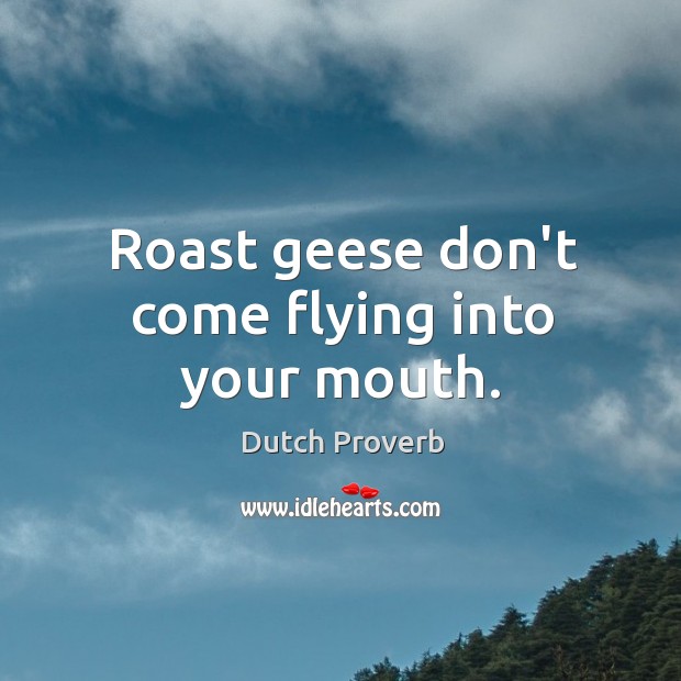 Roast geese don’t come flying into your mouth. Dutch Proverbs Image