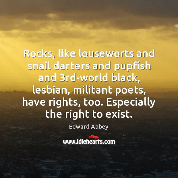 Rocks, like louseworts and snail darters and pupfish and 3rd-world black, lesbian, Edward Abbey Picture Quote