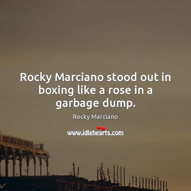 Rocky Marciano stood out in boxing like a rose in a garbage dump. Rocky Marciano Picture Quote