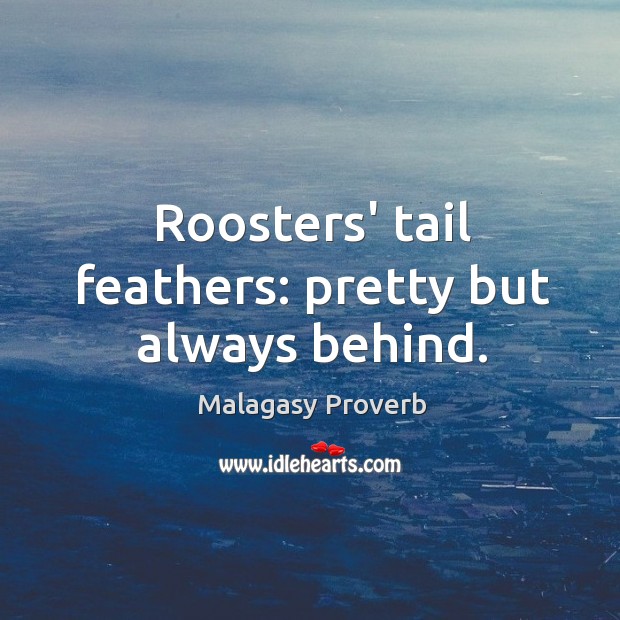 Roosters’ tail feathers: pretty but always behind. Malagasy Proverbs Image