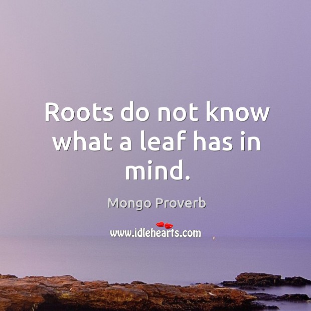 Roots do not know what a leaf has in mind. Mongo Proverbs Image