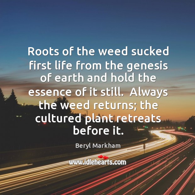 Roots of the weed sucked first life from the genesis of earth Image