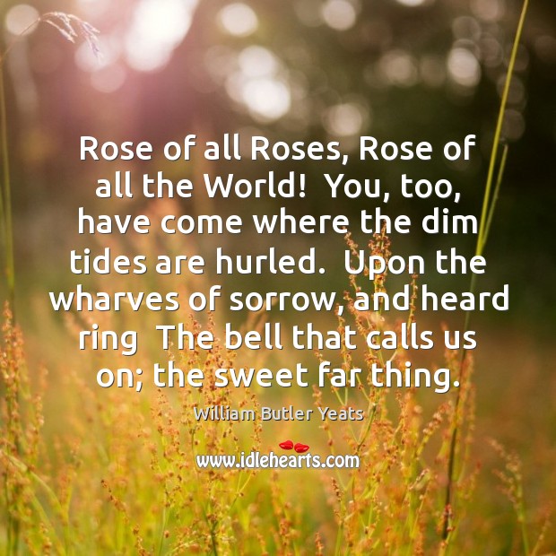 Rose of all Roses, Rose of all the World!  You, too, have William Butler Yeats Picture Quote