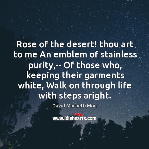 Rose of the desert! thou art to me An emblem of stainless David Macbeth Moir Picture Quote