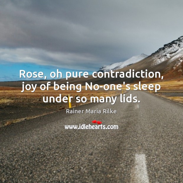 Rose, oh pure contradiction, joy of being No-one’s sleep under so many lids. Rainer Maria Rilke Picture Quote