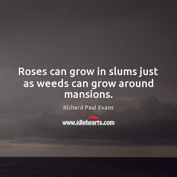 Roses can grow in slums just as weeds can grow around mansions. Richard Paul Evans Picture Quote
