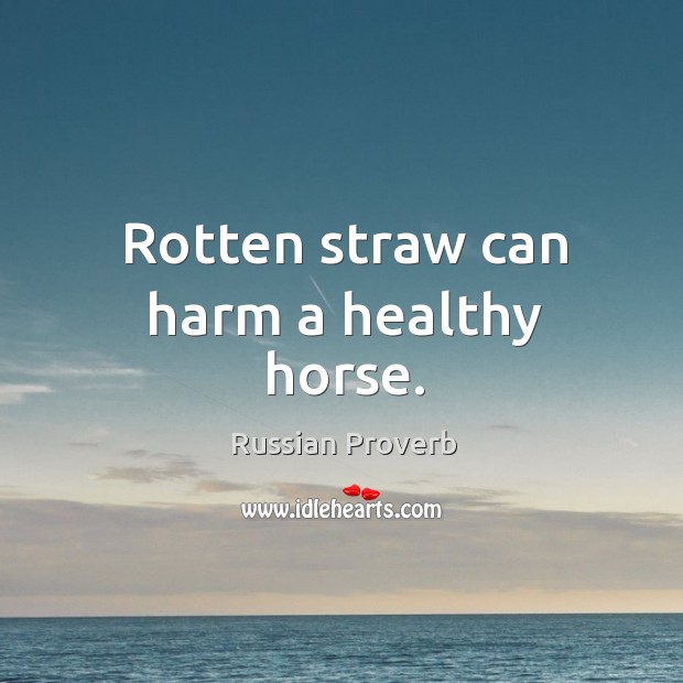 Rotten straw can harm a healthy horse. Russian Proverbs Image
