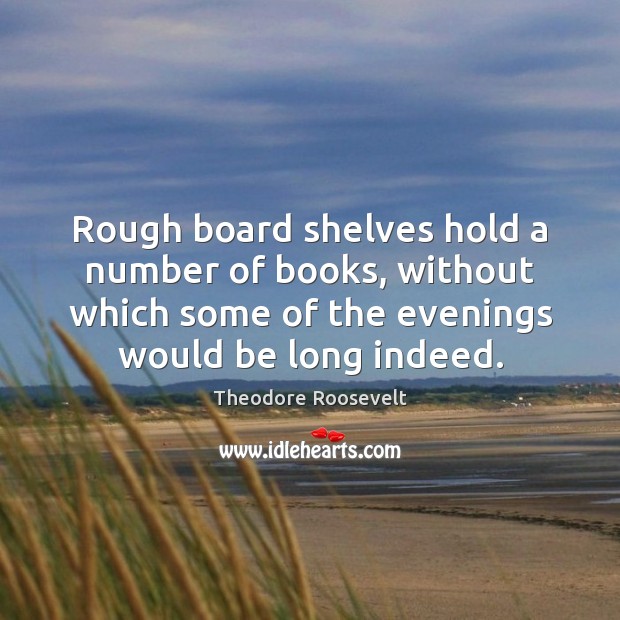 Rough board shelves hold a number of books, without which some of Theodore Roosevelt Picture Quote