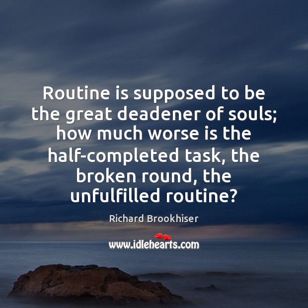 Routine is supposed to be the great deadener of souls; how much Richard Brookhiser Picture Quote