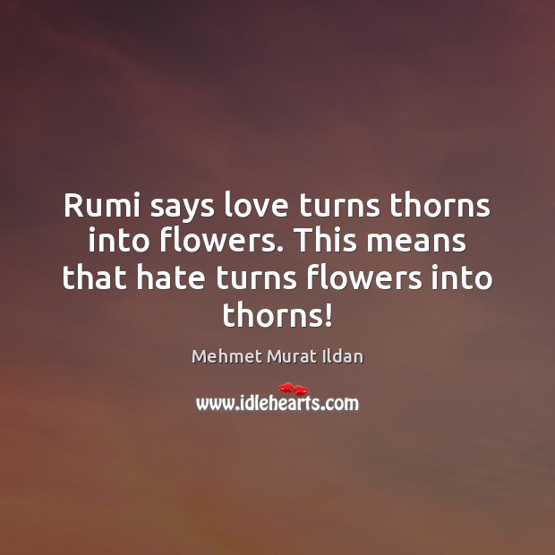 Rumi says love turns thorns into flowers. This means that hate turns flowers into thorns! Hate Quotes Image