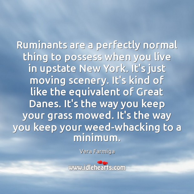 Ruminants are a perfectly normal thing to possess when you live in Vera Farmiga Picture Quote