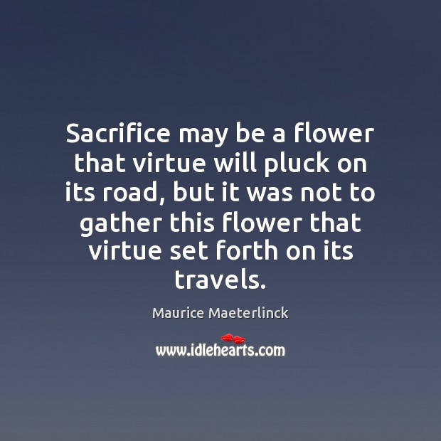 Sacrifice may be a flower that virtue will pluck on its road, Maurice Maeterlinck Picture Quote