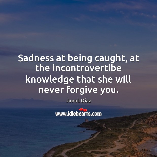 Sadness at being caught, at the incontrovertibe knowledge that she will never forgive you. Image